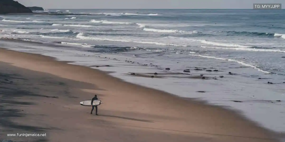 全球直播,你的呐喊从未缺席!📱